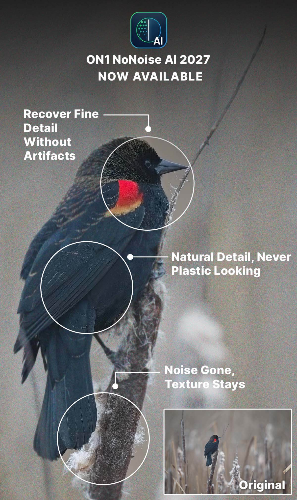 ON1 Portrait AI boxshot